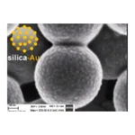 Merck Gold coated silica nanoparticles