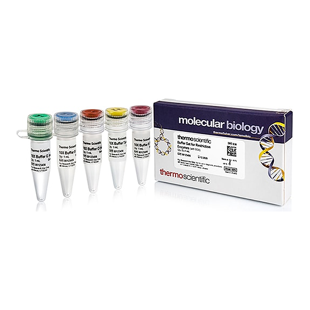Thermo Fisher Scientific Buffer Set for Restriction Enzymes