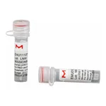 Merck MISSION(R) esiRNA