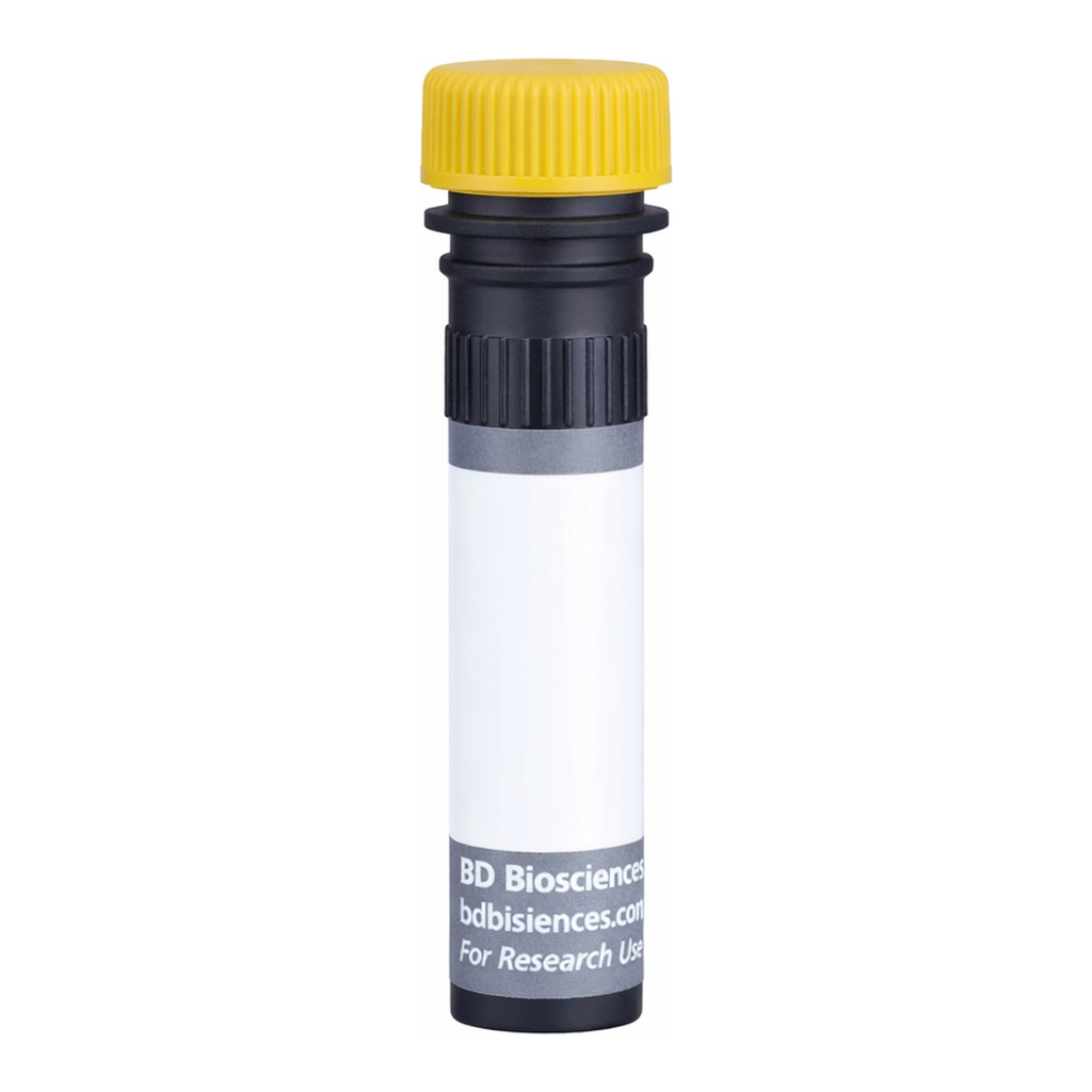 BD BUV661 Rat Anti-Mouse GITR Ligand