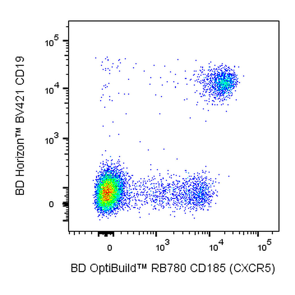 BD RB780 Rat Anti-Human CXCR5 (CD185)