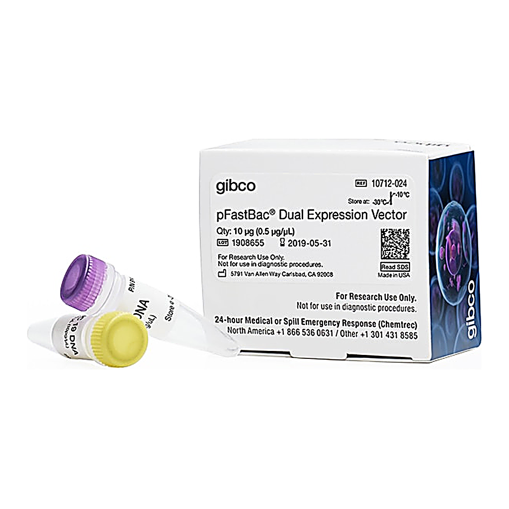 Thermo Fisher Scientific pFastBac Dual Expression Vector