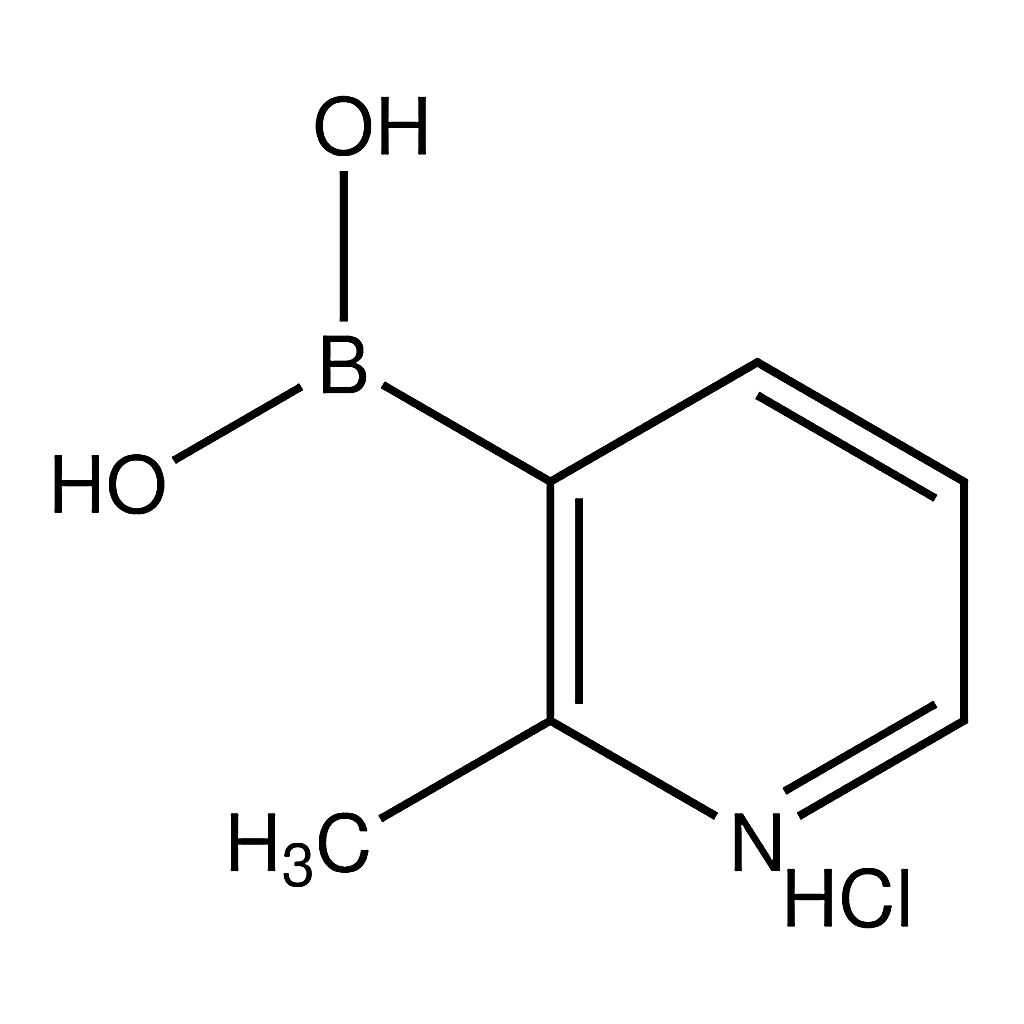 Merck 2-Methylpyridine-3-boronic acid, hydrochoride