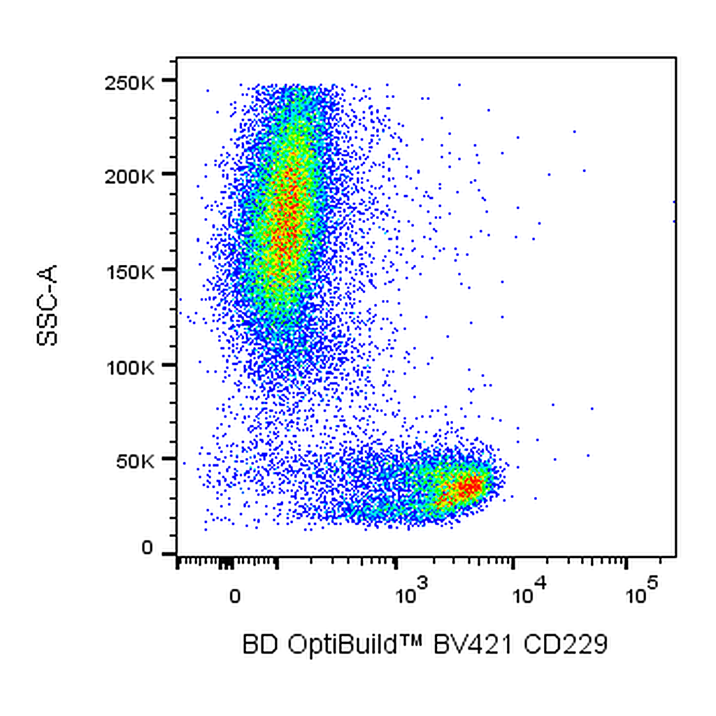 BD BV421 Mouse Anti-Human CD229