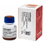 Thermo Fisher Scientific Dynabeads Sequencing Clean-Up Kit, 1 mL Kit