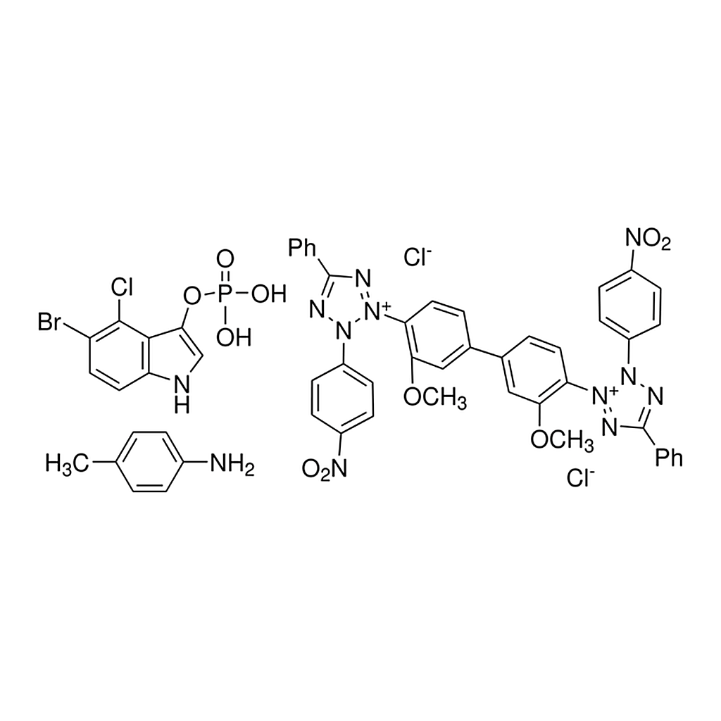 Merck NBT-BCIP(R) SOLUTION SUITABLE AS SUBSTR&