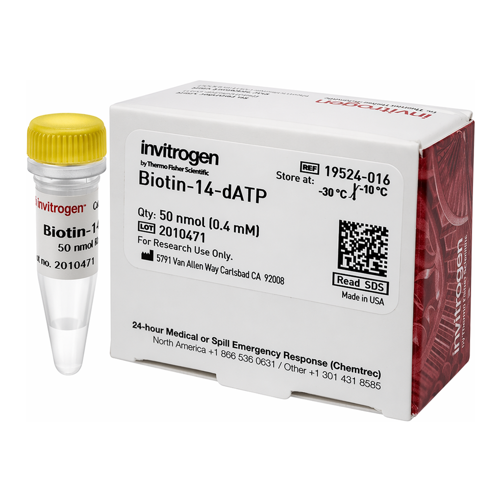 Thermo Fisher Scientific Biotin-14-dATP