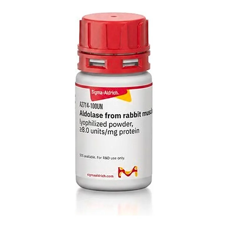 Merck Aldolase from rabbit muscle