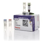 Thermo Fisher Scientific Phusion Green Hot Start II High-Fidelity DNA Polymerase (2 U/μL), 500 units