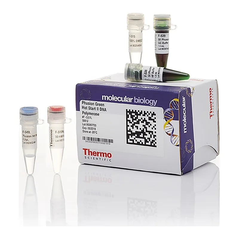 Thermo Fisher Scientific Phusion Green Hot Start II High-Fidelity DNA Polymerase (2 U/μL), 500 units