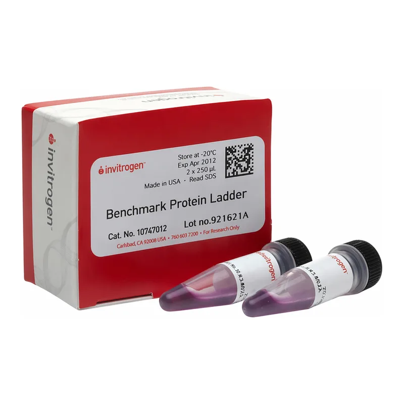 Thermo Fisher Scientific BenchMark Protein Ladder