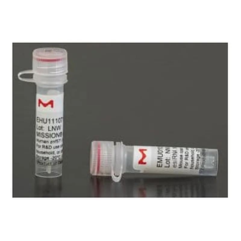 Merck ESIRNA HUMAN ALK