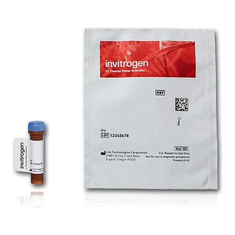 Thermo Fisher Scientific Alexa Fluor 488 Azide (Alexa Fluor 488 5-Carboxamido-(6-Azidohexanyl), Bis(Triethylammonium Salt)), 5-isomer