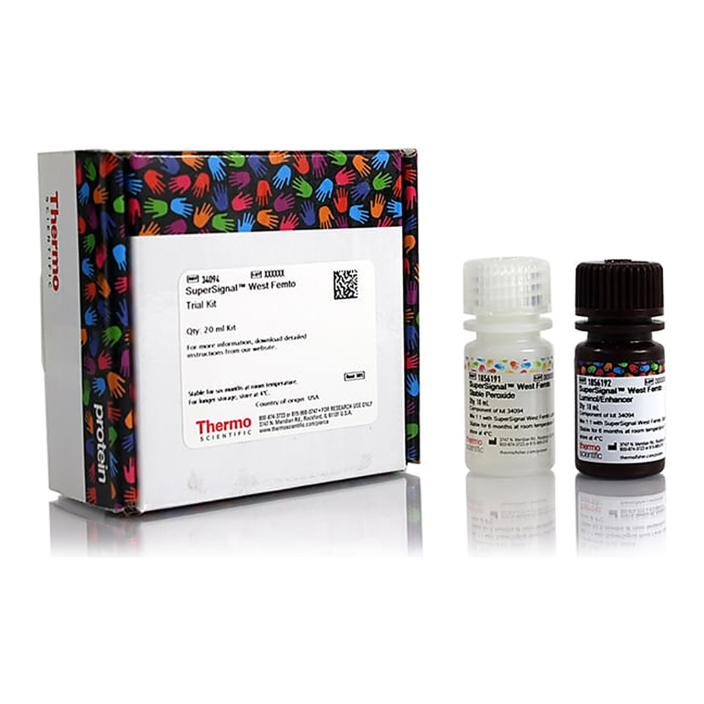 Thermo Fisher Scientific SuperSignal West Femto Maximum Sensitivity Substrate, 20 mL