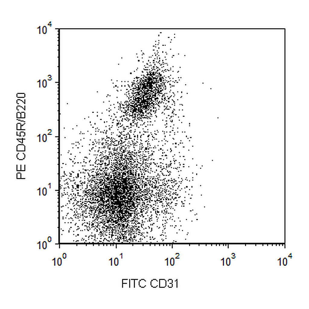 BD FITC Rat Anti-Mouse CD31