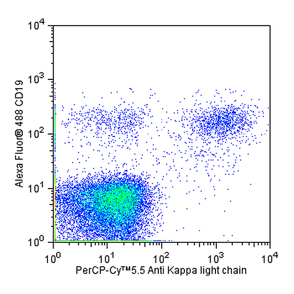 BD PerCP-Cy5.5 Mouse anti-Human Ig, κ Light Chain
