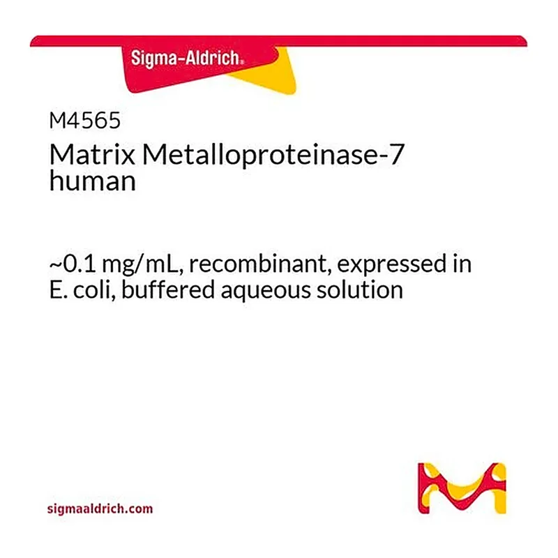 Merck Matrix Metalloproteinase-7 human
