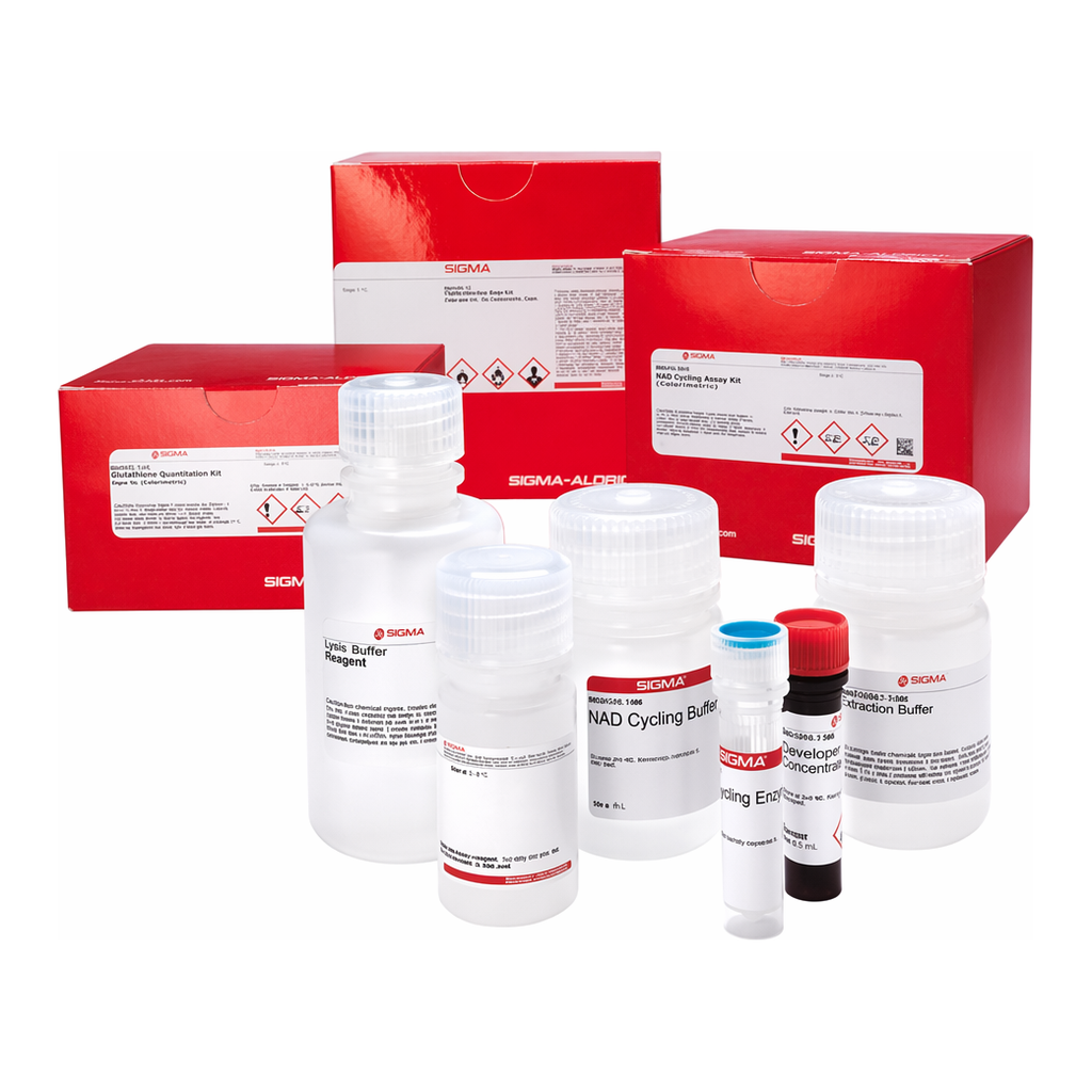 Merck LIPASE ACTIVITY ASSAY KIT III