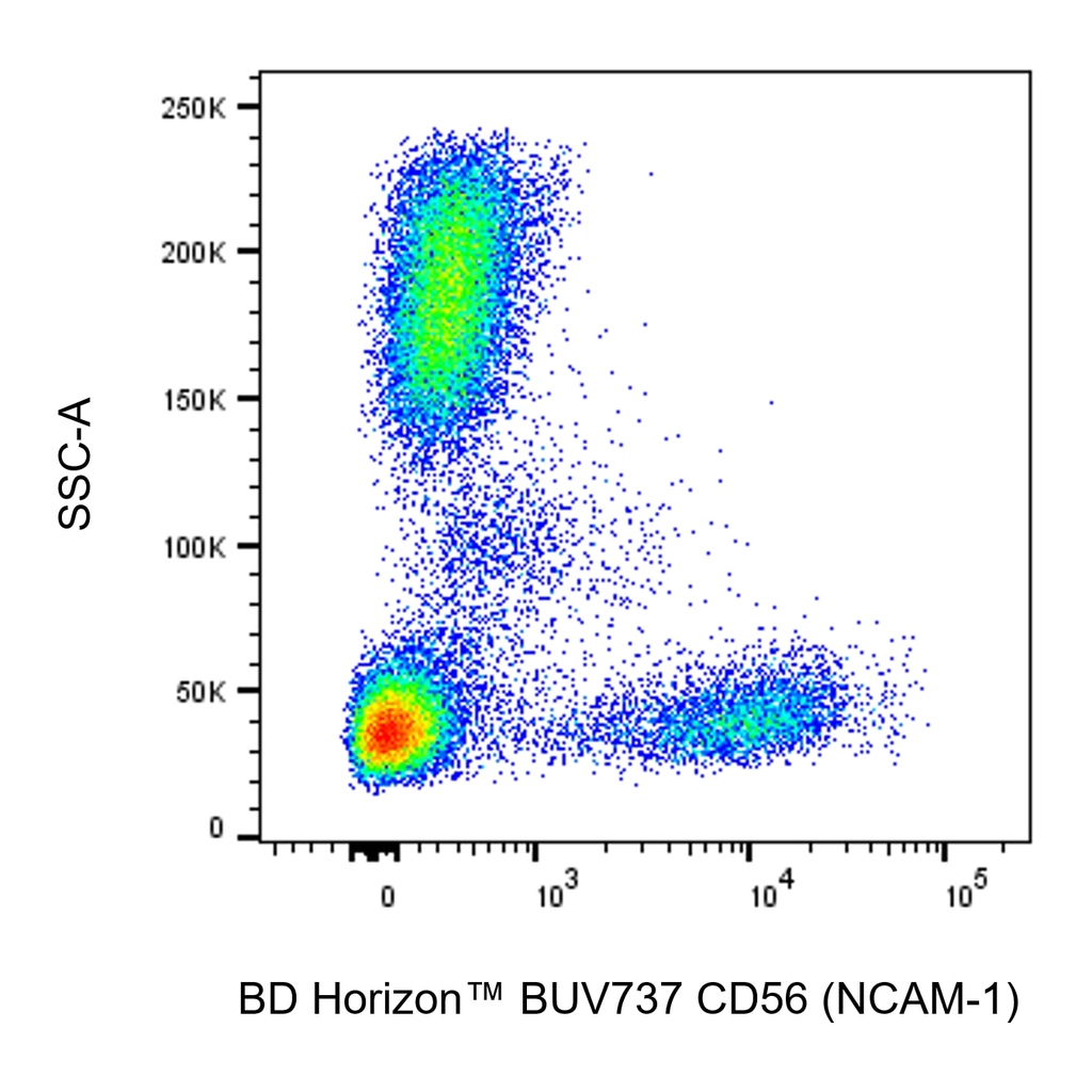 BD BUV737 Mouse Anti-Human CD56 (NCAM-1)