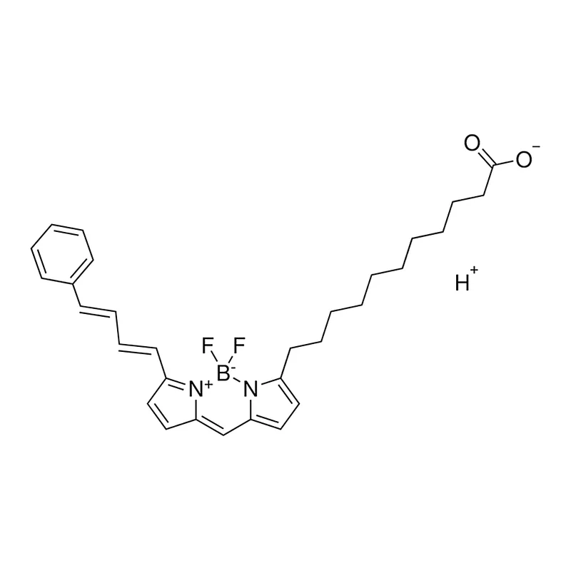 Merck C11-BODIPY581/591