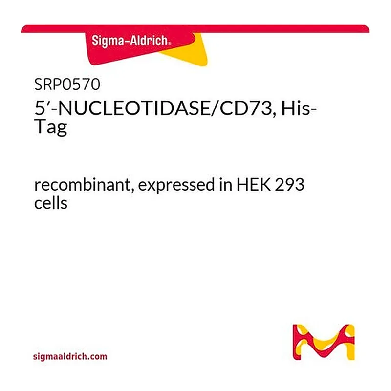 Merck 5'-NUCLEOTIDASE/CD73, His-Tag