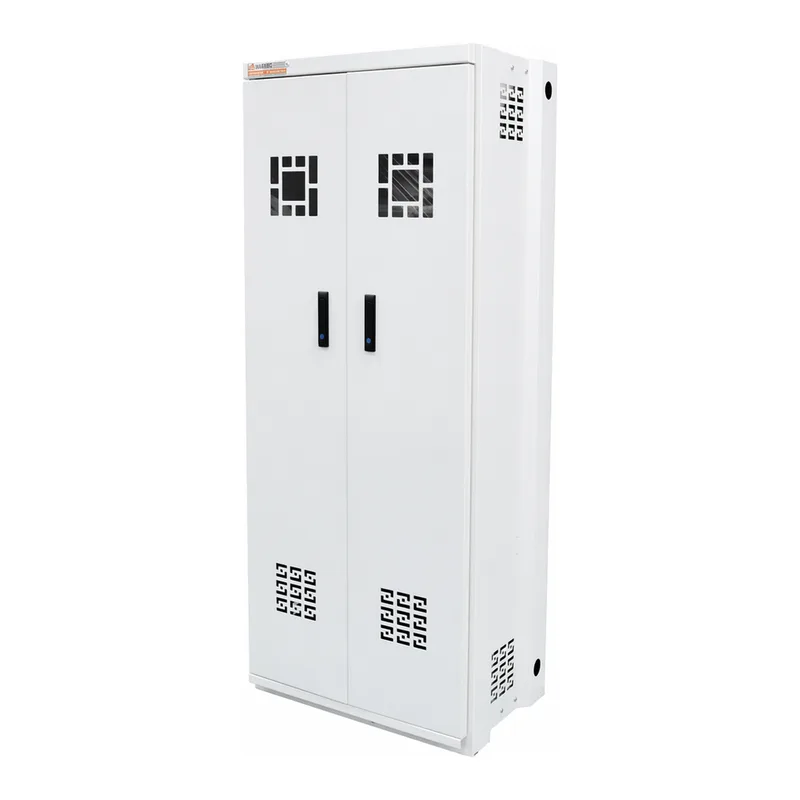 Gas Cylinder Cabinet 가스 실린더 캐비넷