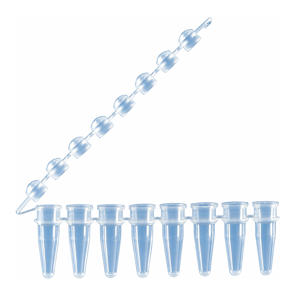 Strips of 8 PCR Tubes 8 PCR 튜브 스트립