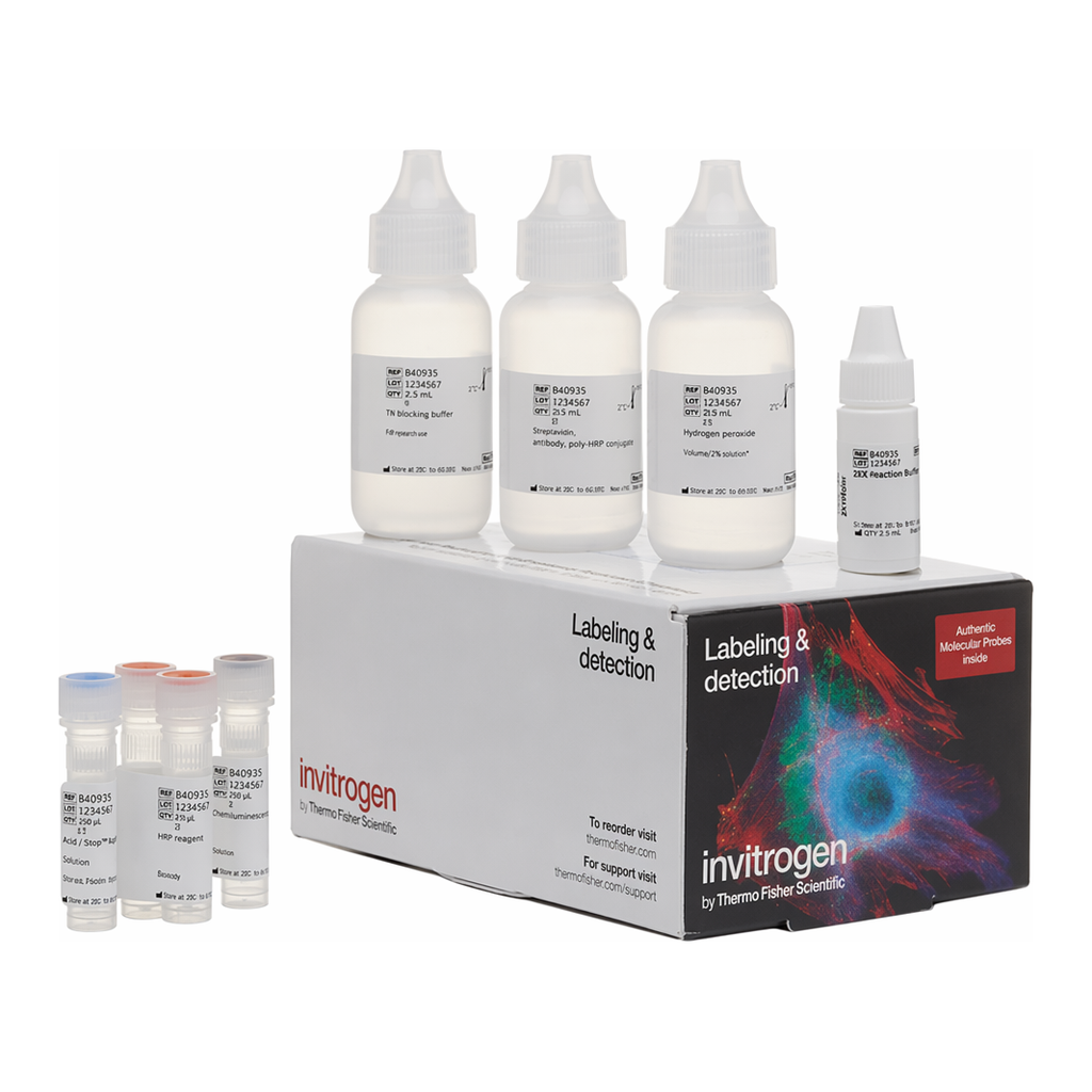 Thermo Fisher Scientific Alexa Fluor 594 Tyramide SuperBoost Kit, streptavidin
