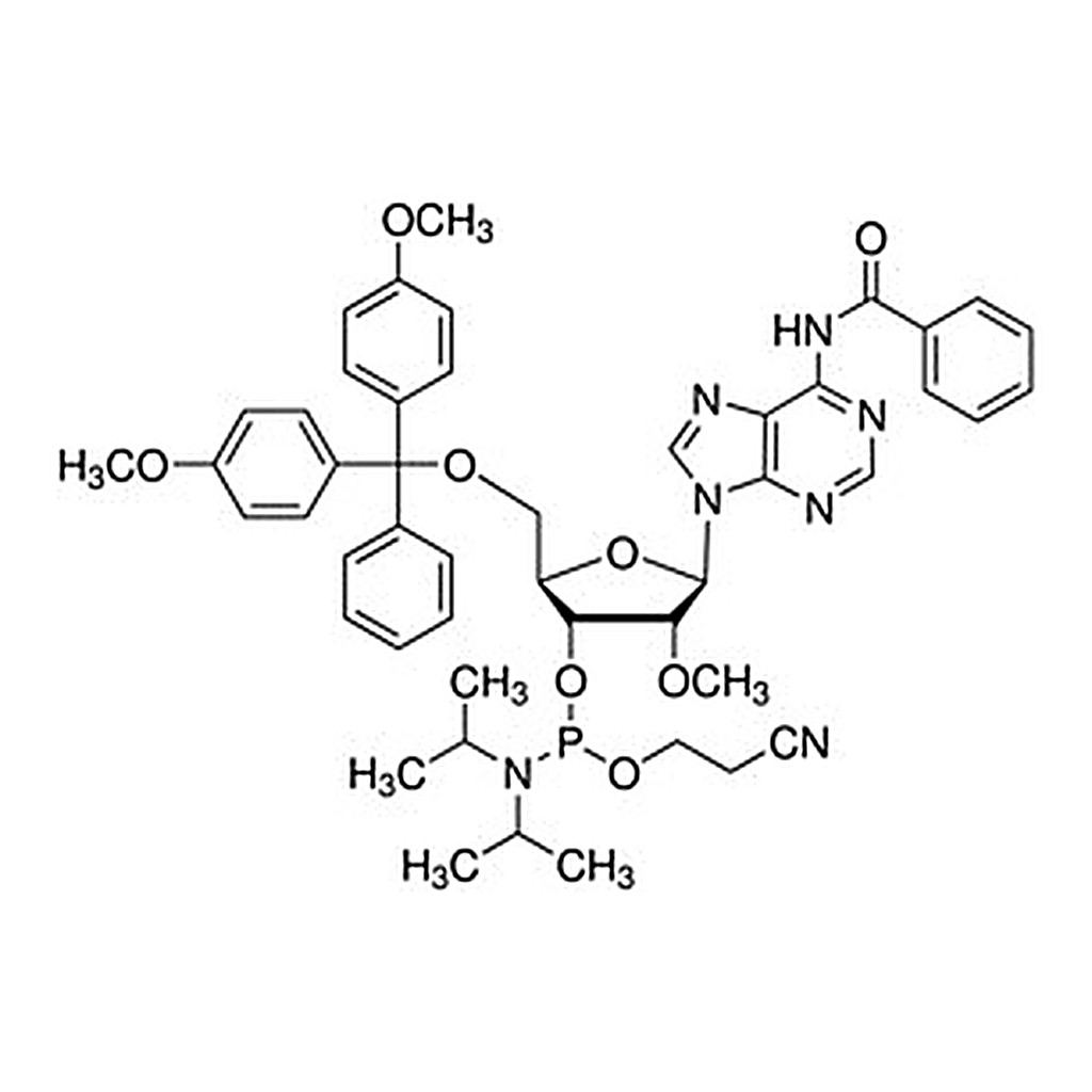 Merck DMT-2````O-Me-rA(bz) Amidite, MM