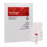 Thermo Fisher Scientific Measure-IT High-Sensitivity Nitrite Assay Kit