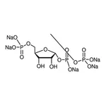 Merck 5-PHOSPHO-D-RIBOSE 1-DIPHOSPHATE PENTASO
