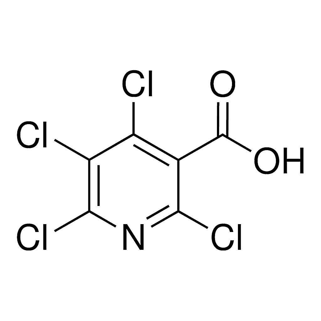 Merck 2,4,5,6-TETRACHLORO-3-PYRIDINE - 50 MG&