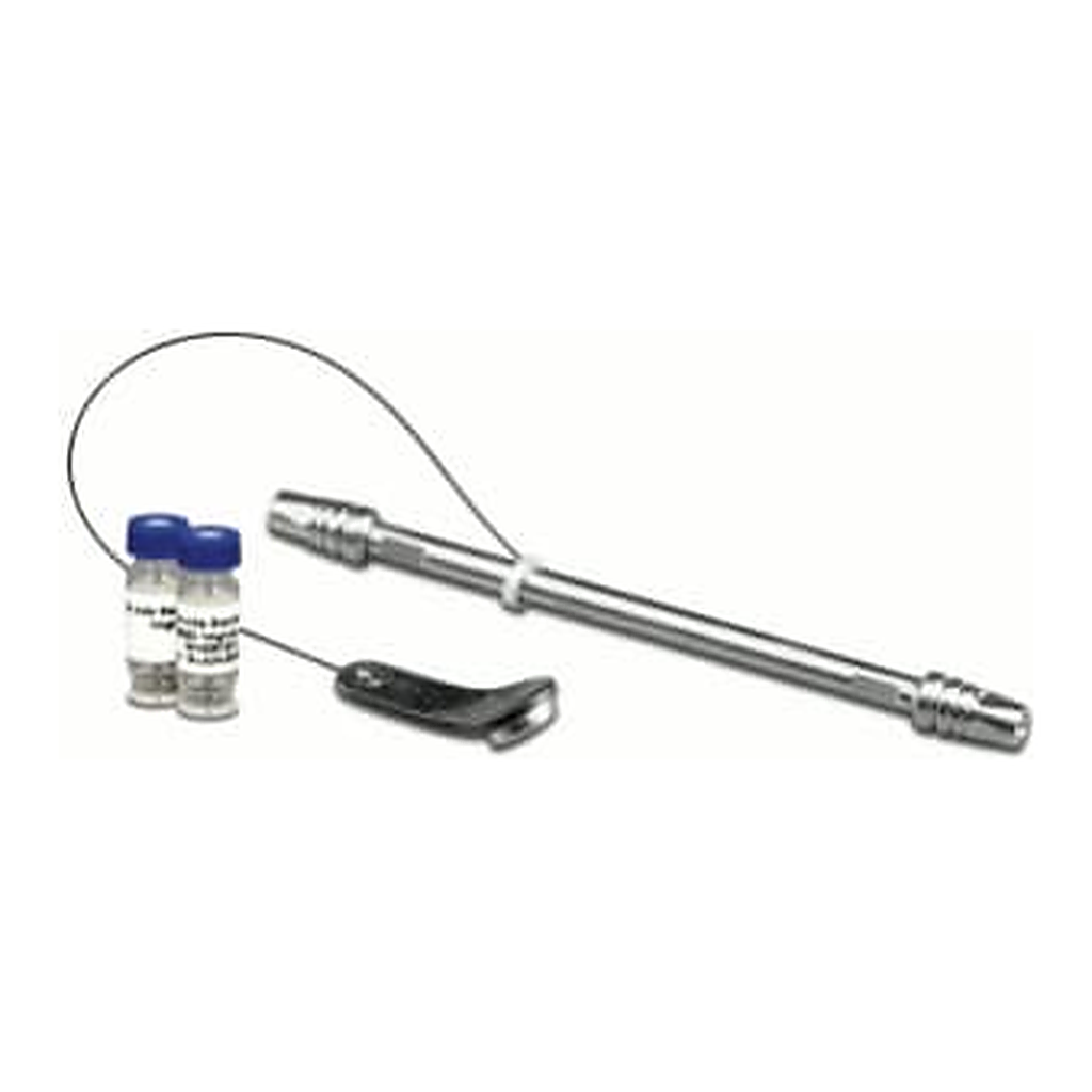 Waters BioResolve RP mAb Polyphenyl Column, 450Å, 2.7 µm, 2.1 mm X 150 mm, 1/pk w/ Intact mAb and mAb Subunit Standards