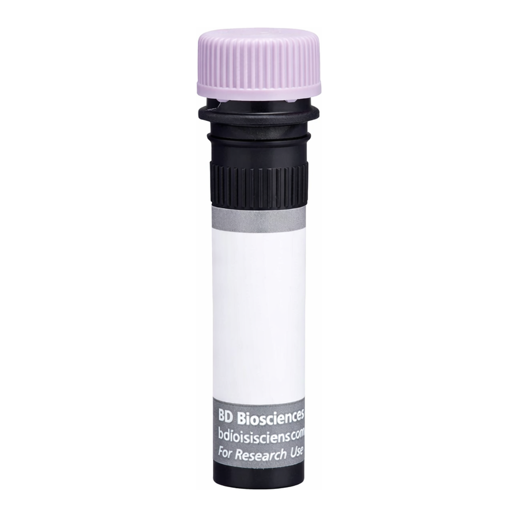 BD BUV395 Rat Anti-Mouse Vβ 10[b] TCR