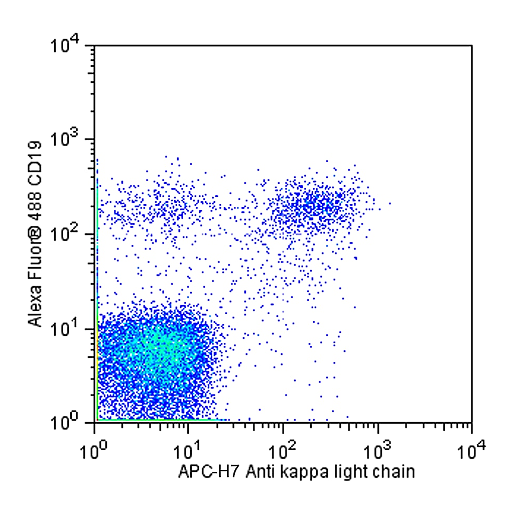BD APC-H7 Mouse anti-Human Ig, κ Light Chain