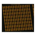 Merck Hall Device Chip