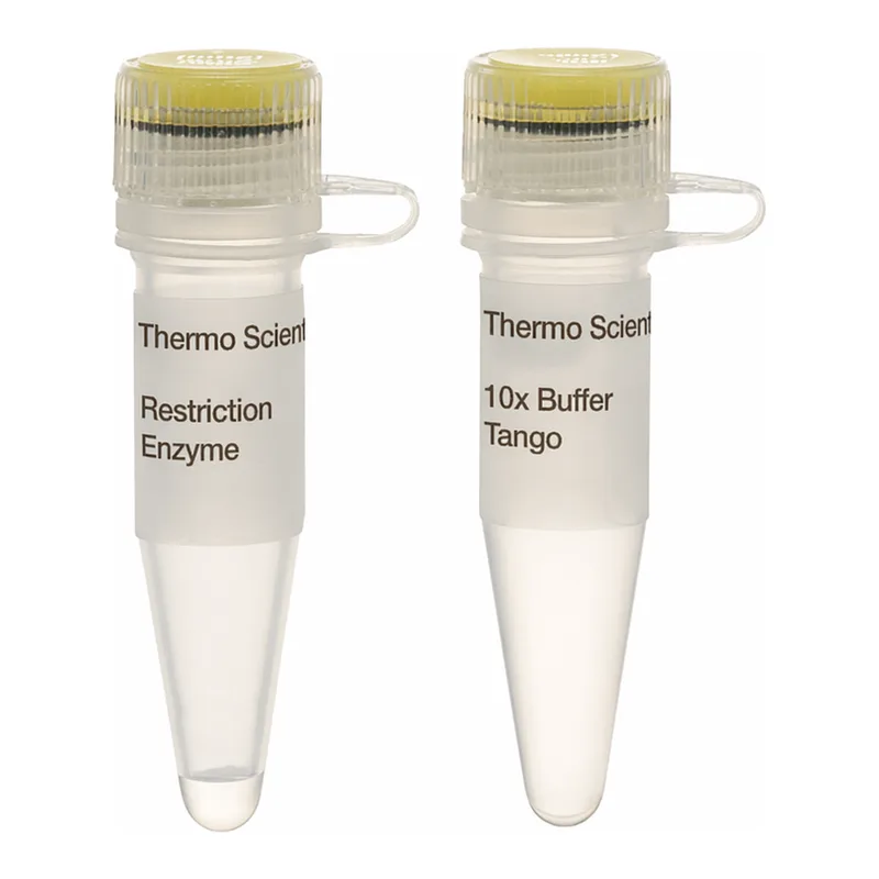 Thermo Fisher Scientific BcnI (NciI) (10 U/μL)