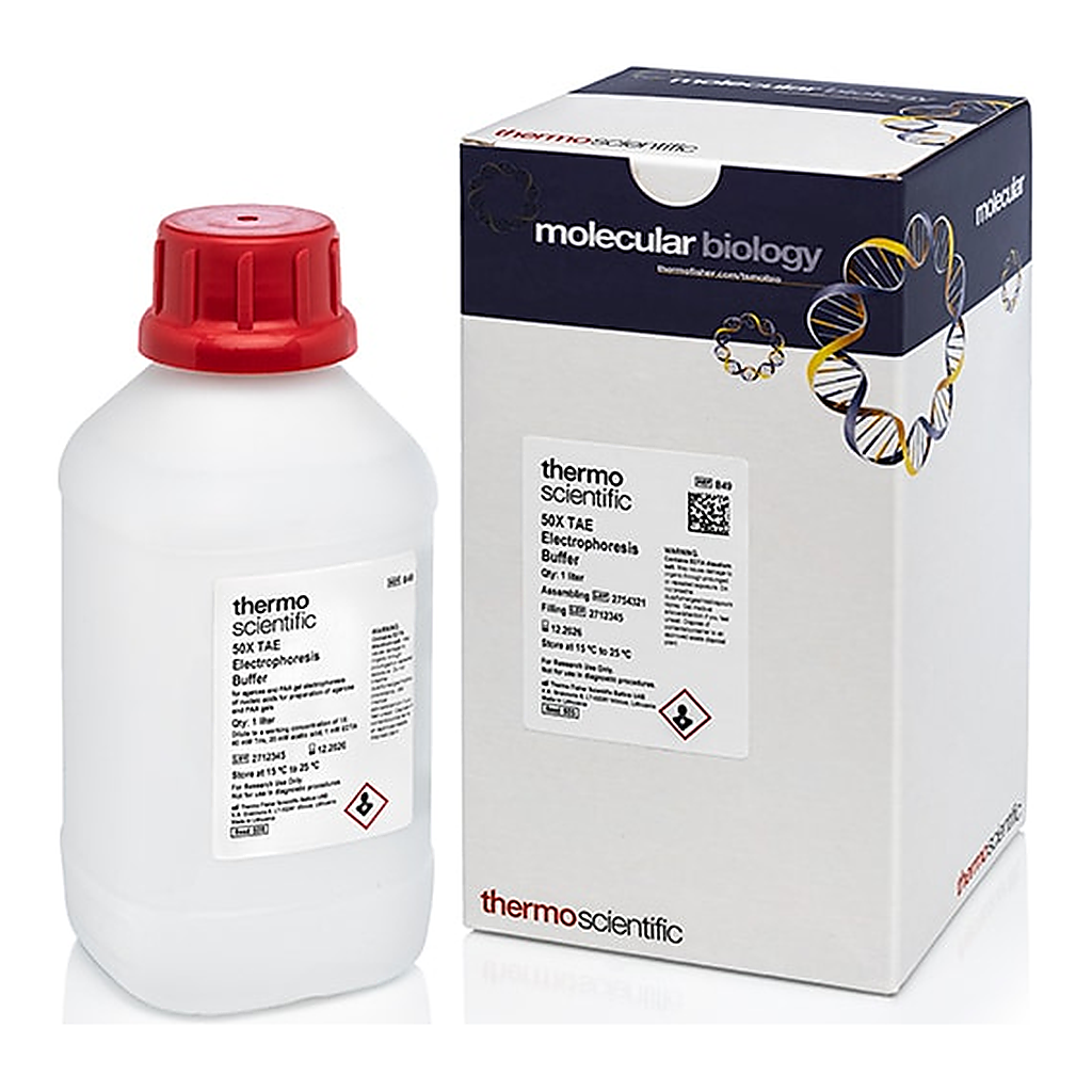 Thermo Fisher Scientific TAE Buffer (Tris-acetate-EDTA) (50X)