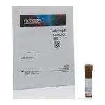 Thermo Fisher Scientific Lycopersicon Esculentum (Tomato) Lectin (LEL, TL), fluorescein (FITC)
