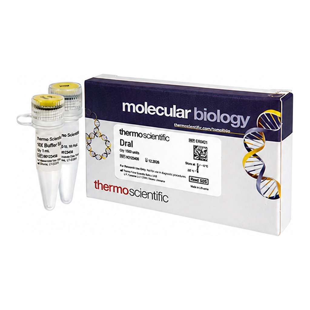 Thermo Fisher Scientific DraI (10 U/μL)