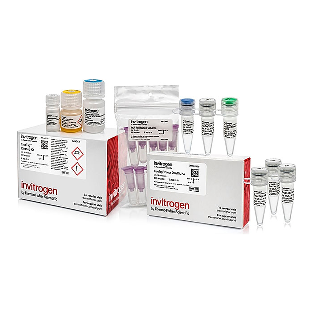 Thermo Fisher Scientific TrueTag Donor DNA Kit, HA