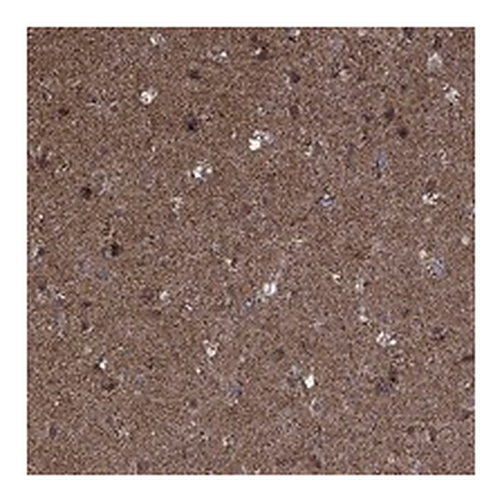 Atlas Antibodies Anti-MOAP1 Antibody