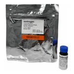Thermo Fisher Scientific Bigfoot Calibration Beads