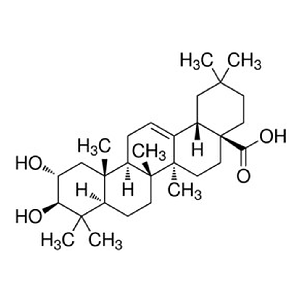 Merck MASLINIC ACID FROM CRATAEGUS PINNATIFIDA