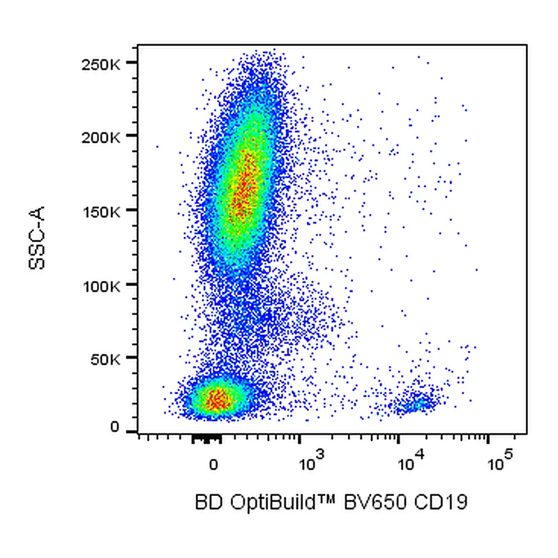BD BV650 Mouse Anti-Human CD19