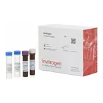 Thermo Fisher Scientific CA19-9 (Sialyl Lewis A) Human ProcartaPlex Simplex Kit