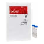 Thermo Fisher Scientific Di-2-ANEPEQ (JPW 1114)
