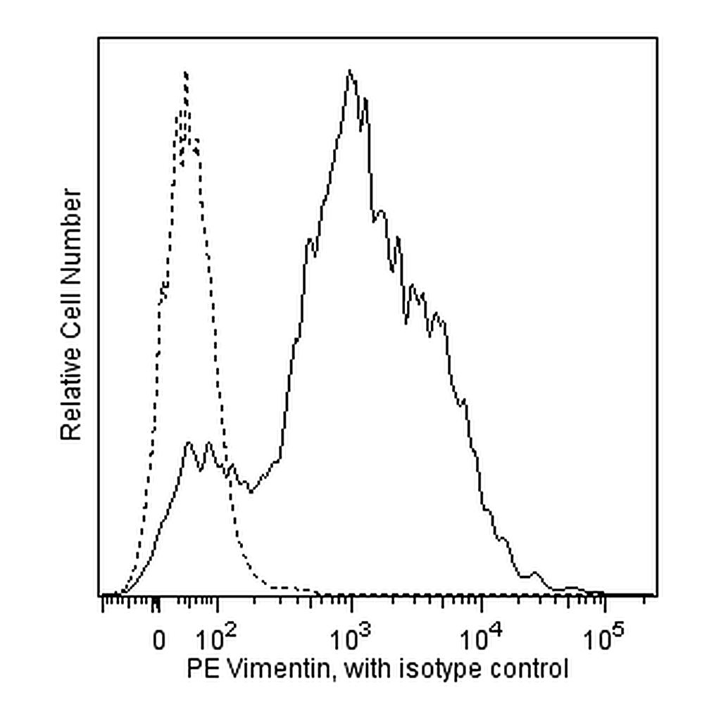 BD PE Mouse Anti-Human Vimentin
