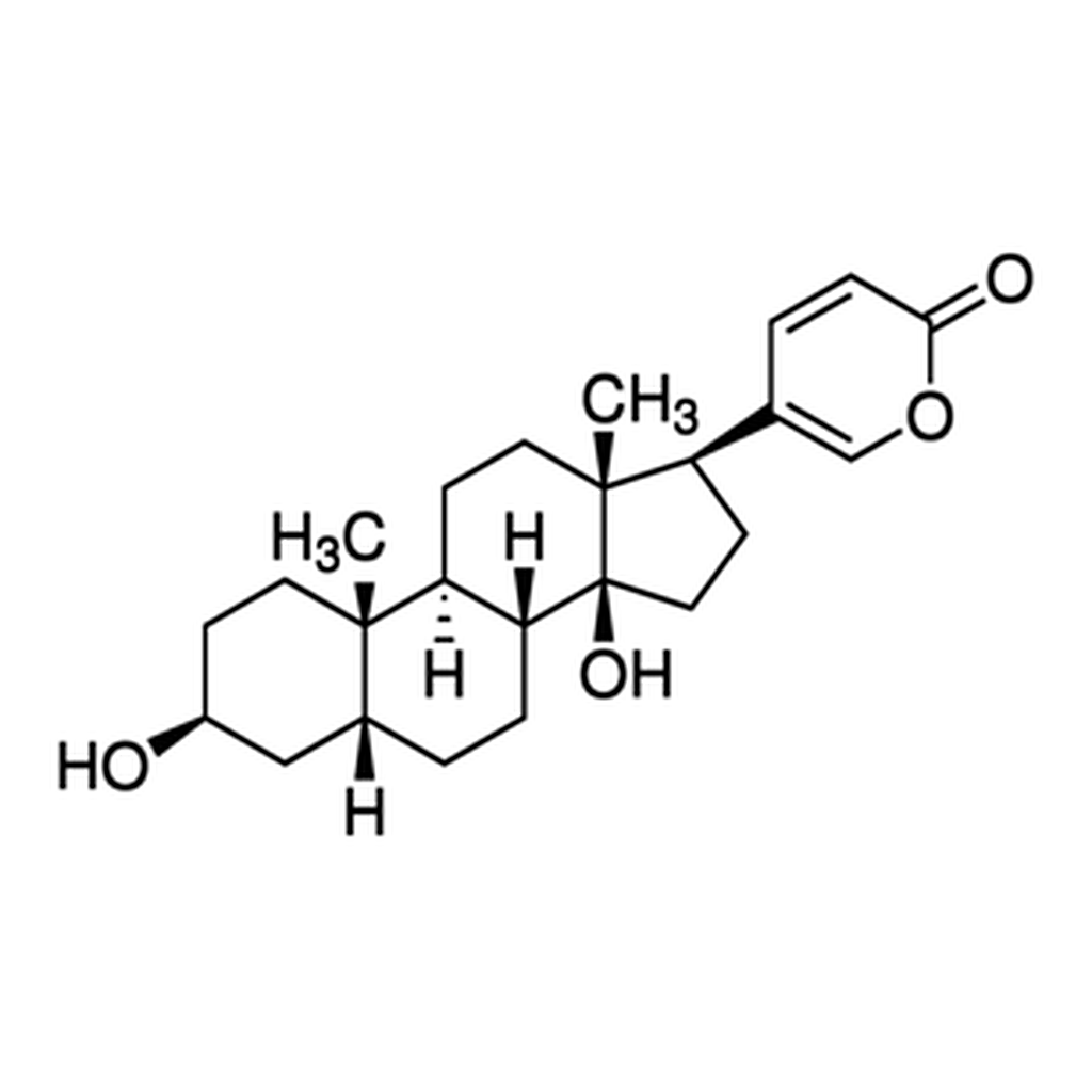 Merck Bufalin