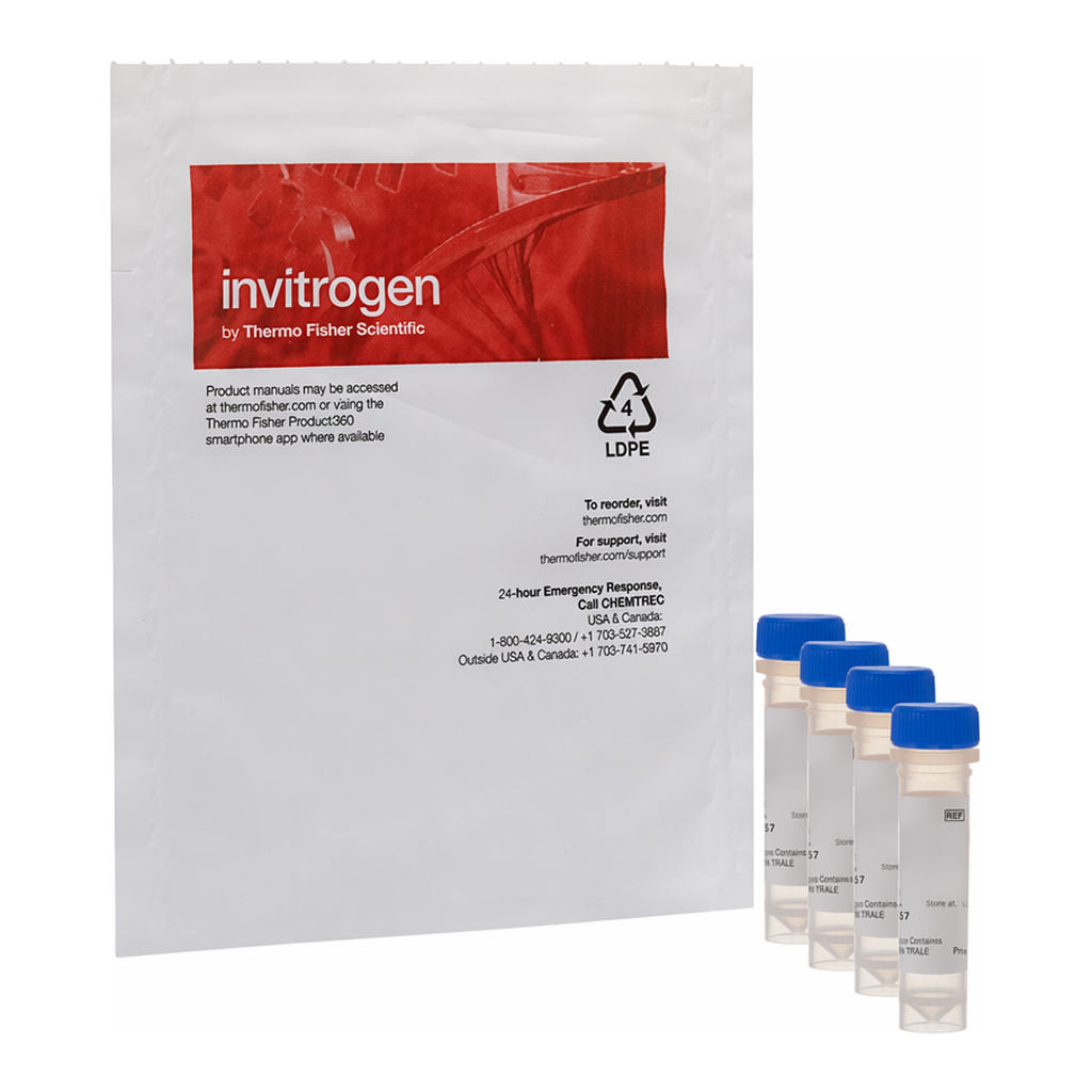 Thermo Fisher Scientific FocalCheck Thin-Ring Fluorescent Microspheres Kit, 1.0 &mu;m, three suspensions
